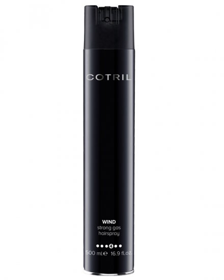 Styling - Wind Strong Gas Hairspray 500ml
